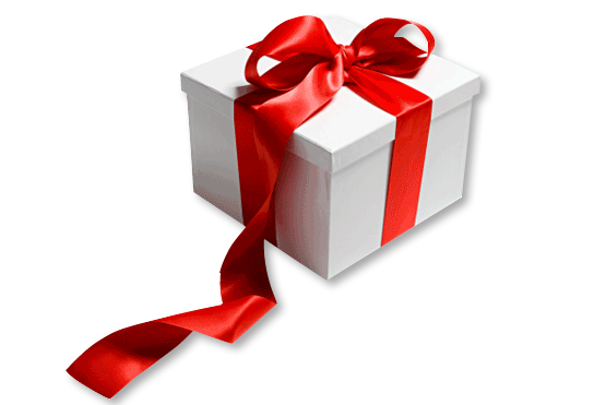 Gift Box with Red Bow
