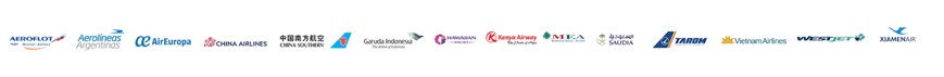 Logo weltweite Fluggesellschaft