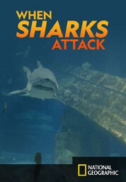 Shark Attack ! Shark Attack !