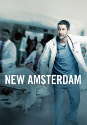 New Amsterdam New Amsterdam