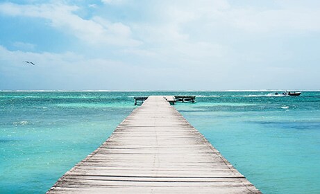 Dock into the Ocean