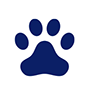 Um ícone representando viagem com animais de estimação