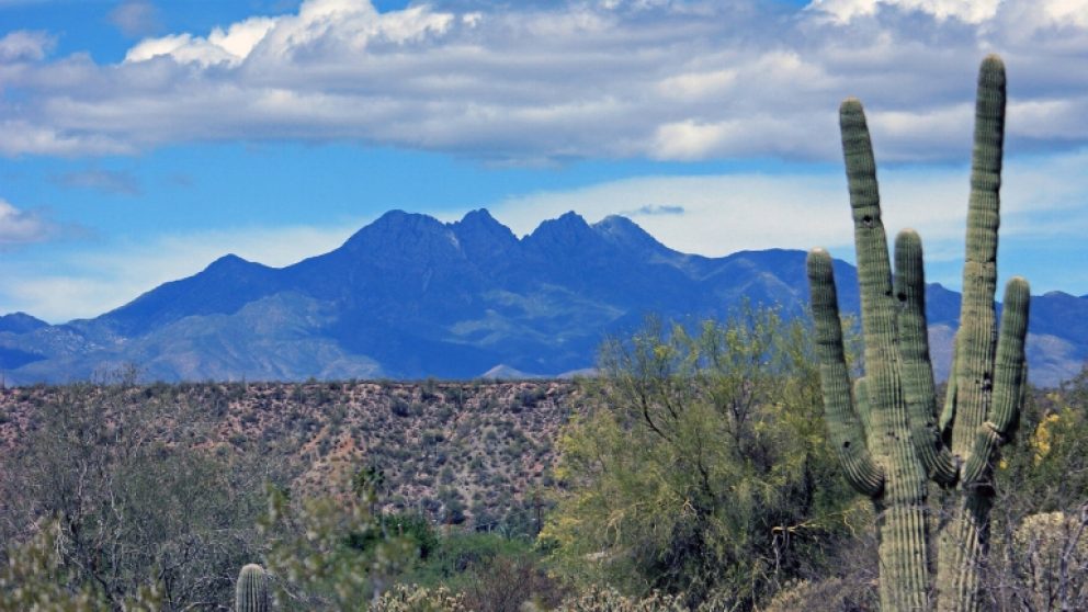 Flights To Phoenix Phx Delta Air Lines