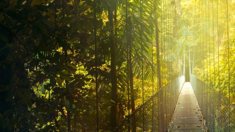flights to costa rica sjo and lir delta air lines