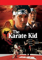 Pôster de The Karate Kid
