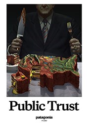 《Public Trust》海报