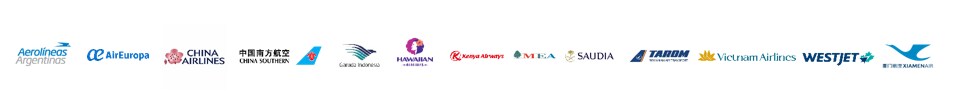 Logo weltweite Fluggesellschaft