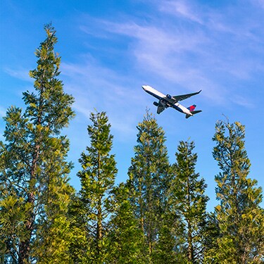 木々の上を飛行するデルタ航空機