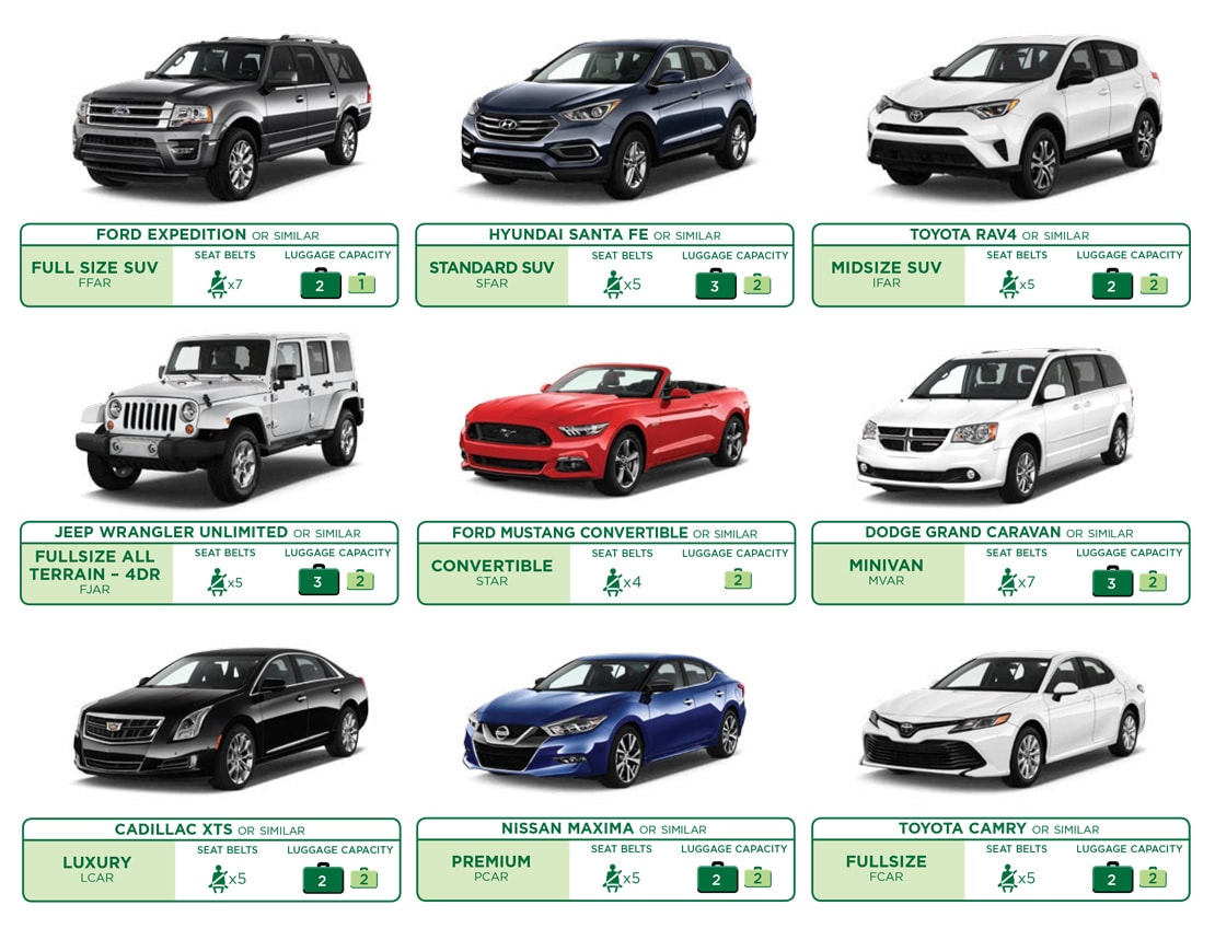 Car Rentals