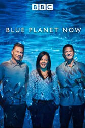 《藍色星球 Now》海報