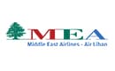 中东航空公司徽标